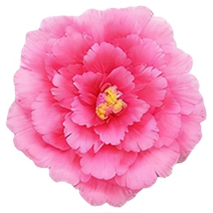 难忘今宵牡丹花舞蹈道具年会开场舞谢幕跳舞专用仿真手持表演道具