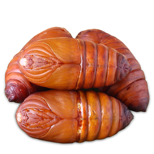 东北特产柞蚕蛹新鲜大黄蚕蛹黄蚕蛹茧蛹蚕蛹鲜蝉蛹活大黑蚕蛹500g