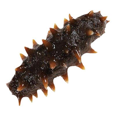 【9星级】鲜食即食海参88%复购率