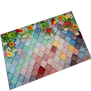 入户门门口丝圈地垫厨房防水蹭土门垫可定制门店logo脚垫任意裁剪