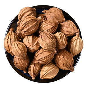 香砂仁大料500g 川砂仁香砂香沙仁金砂仁四川调料香料卤肉料大全