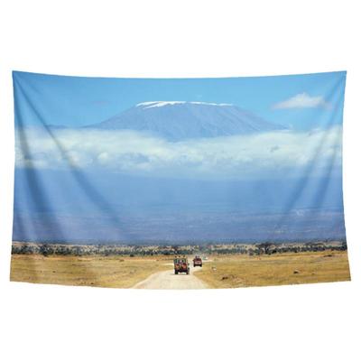 非洲东非乞力马扎罗山雪山周边