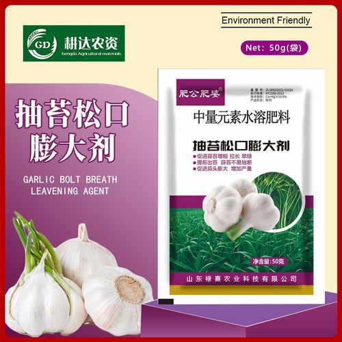大蒜抽苔松口膨大拉长增粗提前抽苔不易抽断增加产量大蒜叶面肥