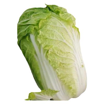 顺丰包邮4斤霜冻大白菜新鲜蔬菜