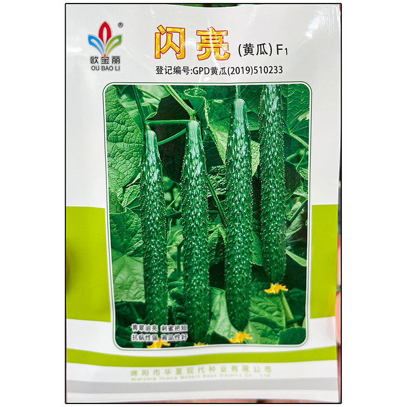 闪亮10g青黄瓜种子孑籽高产