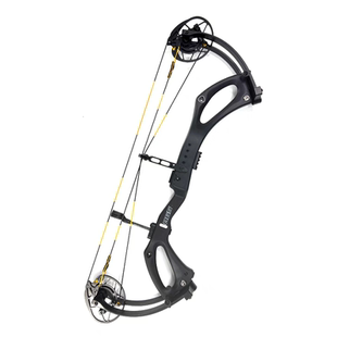 射手碳30复合弓箭高速射箭打靶护农队非碳马赫马修斯PSE碳入侵801