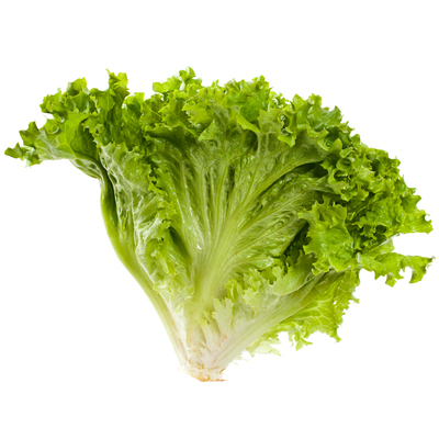 新鲜罗莎绿生菜轻食沙拉蔬菜