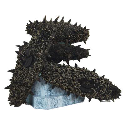 今鲜岛母参王中国海参No.1