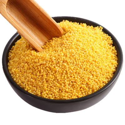 新米陕北子洲米脂黄小米小黄米