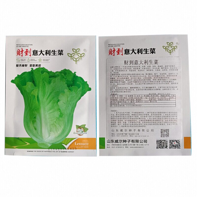 原厂封装四季春季蔬菜种子大全