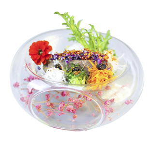 特色菜意境碗分子美食创意干冰玻璃餐具料理耐高温侧面开口色拉碗