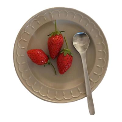 意面盘子专用早餐盘子高颜值鱼盘