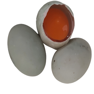 河南鸭蛋湖边散养土鸭蛋现捡现发农家青壳青皮生鸭蛋新鲜鸭蛋批发