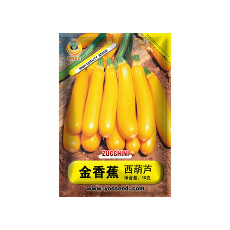 西葫芦种子阳台盆栽农家蔬菜种籽