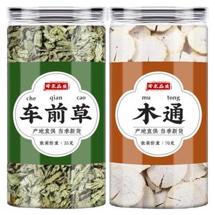 车前草木通中药材新鲜正品干货车钱草木桶泡茶泡水喝的功效与作用