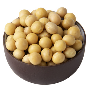 黄豆500g新货四川秦岭大巴山非转基因大豆打豆浆专用农家自种黄豆