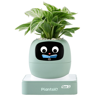 【桌面情绪绿植】IVY智能花盆办公室工位解压植物小摆件家居装饰