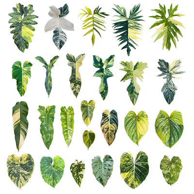 【直播菜单顺序表】【拍卖清单】购物选项看菜单 详情页看拍品图