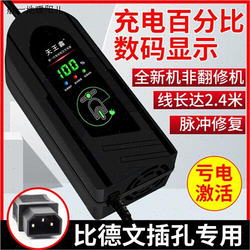 适用比德文电动车电瓶充电器48V12A60V20AH72V3I2A40A50A