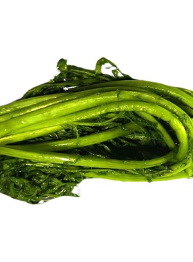 绿色雪菜雪里红新鲜腌制农家食用农家蔬菜5斤包邮雪里蕻青色小菜