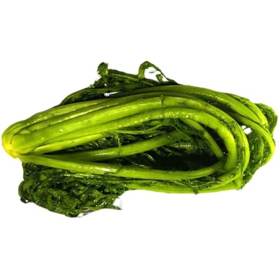 腌制绿色雪里红安徽邕富700克