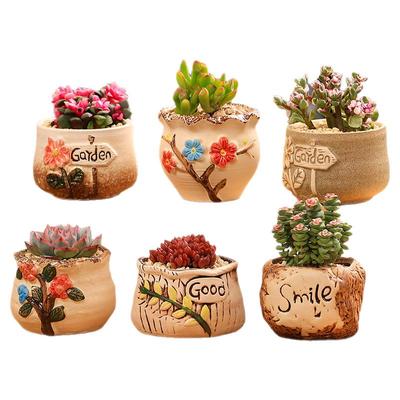 多肉植物含盆土组合桌面室内小盆栽陶瓷花盆老桩玉露桃蛋肉肉植物