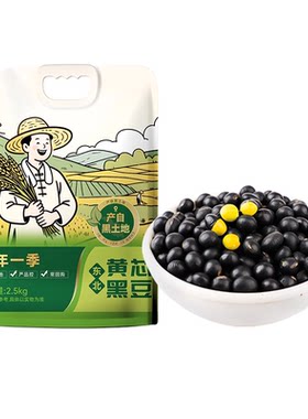 东北黄芯黑豆农家黑豆