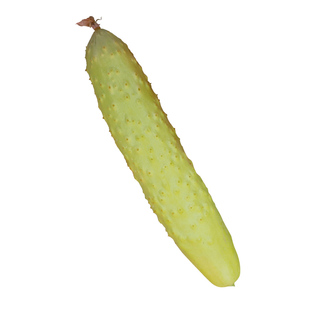 海阳白玉黄瓜种籽孑种子高产水果黄瓜种籽秋季四季籽种蔬菜子脆皮