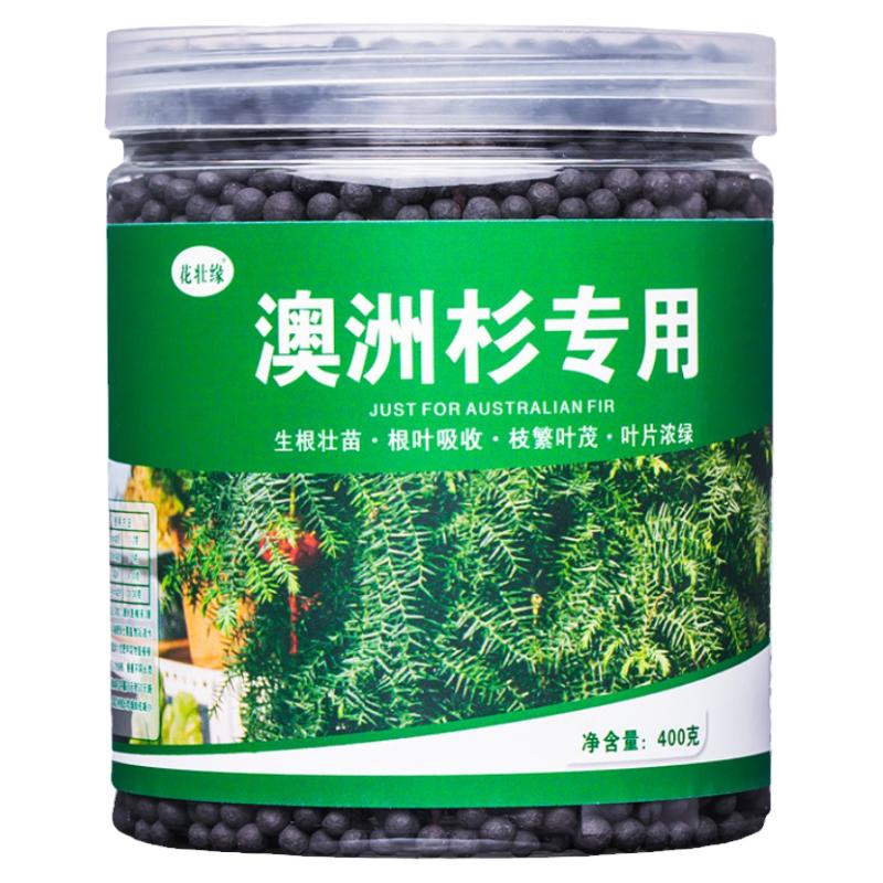 澳洲杉肥料促生长绿叶常青