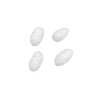 【包邮】蚕茧猫玩具气味丰荣猫咪闻嗅自嗨解闷原色趣味逗猫扒拉球