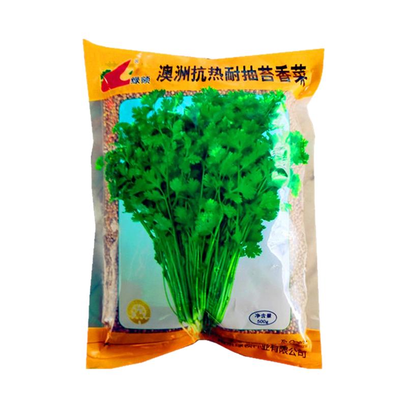 香菜种子蔬菜种籽芫荽速生长好吃