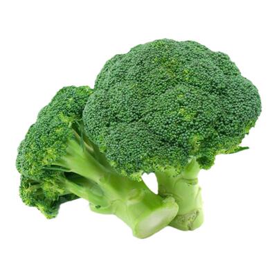 西兰花种籽蔬菜种子花苗孑西蓝花