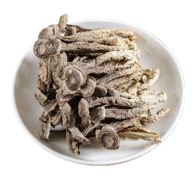 云南特产精选鹿茸菇干货