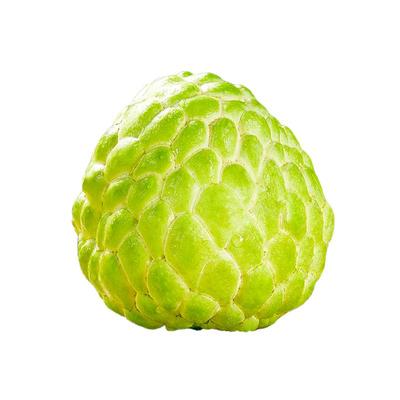 番荔枝新鲜凤梨果摩尼果