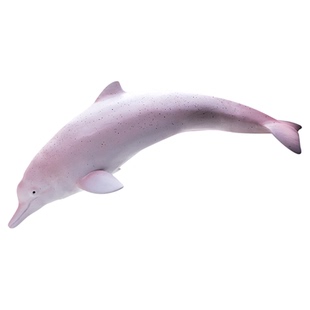 Recur悦酷软胶仿真海洋世界动物模型中华白海豚儿童戏水塑胶玩具