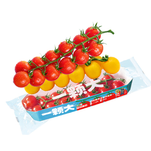 【一颗大】串番茄串收樱桃小番茄西红柿新鲜自然熟老味道生吃柿子