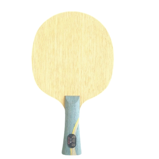 维斯卡利亚正胶生胶反胶异质拍专用底板W968龙五新SALCZLC定制VIS