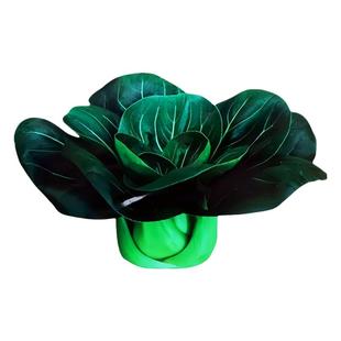 黑叶矮脚苏州青种子黑大头青菜耐寒青梗菜小油菜黑菜种籽蔬菜种孑