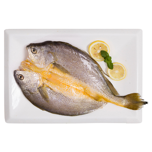 三都港黄鱼鲞大黄鱼黄花鱼冷冻水产生鲜新鲜海鲜鱼免杀洗3.2斤4条