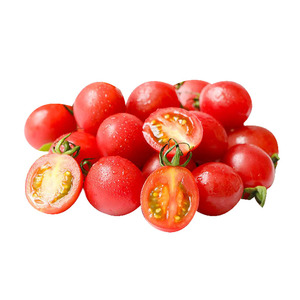 超甜千禧圣女果秧苗幼苗四季春秋高产樱桃番茄黄白西红柿种子寿光