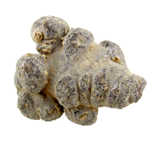 云南文山特级正品春三七田七60~10头非野生中药材可免费磨粉切片