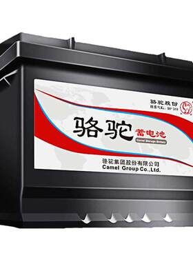 霸道瑞风帕杰罗12v85ah蓄电池