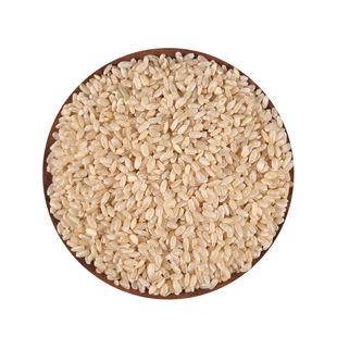 精选粳米正品优质新米粳米熬米油50克煮粥梗米农家新货