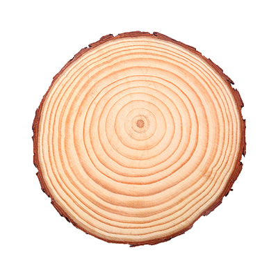 幼儿园圆木片diy手工绘画木桩片