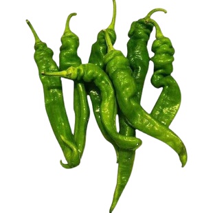 新鲜螺丝椒特产农家自种时令蔬菜软皮薄皮青皱皮螺丝椒炒菜生吃