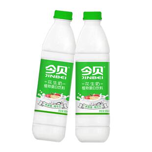 今贝花生奶营养奶批发植物蛋白风味早餐儿童学生饮料500ml瓶装