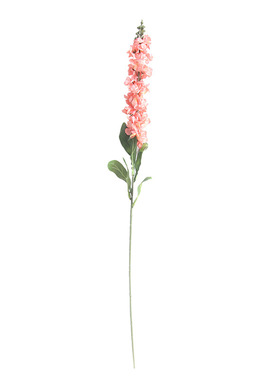 风信子电视柜紫罗兰干花飞燕草