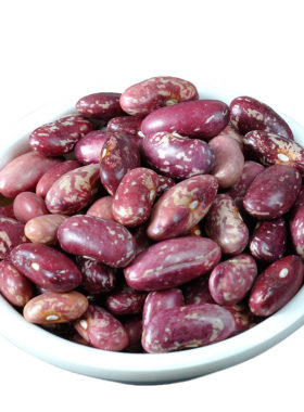 东北红芸豆红花饭豆碴子粥豆