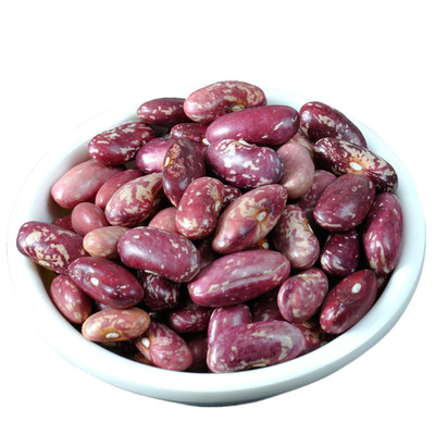 东北农家红芸豆红花饭豆碴子粥豆