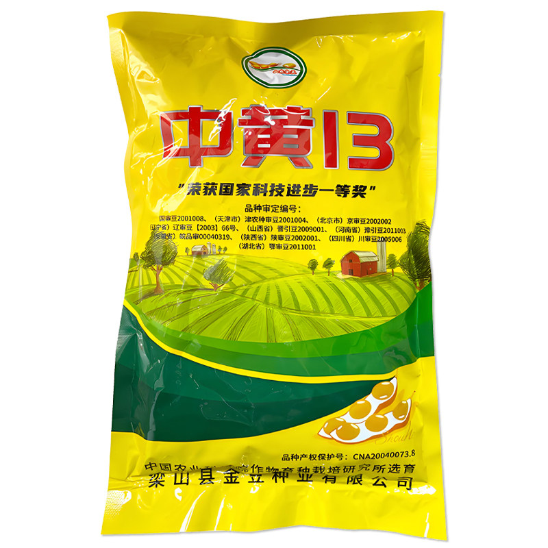 中黄13黄豆种子绿豆大豆种子